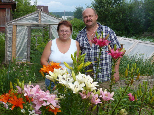 Валерий Панихин