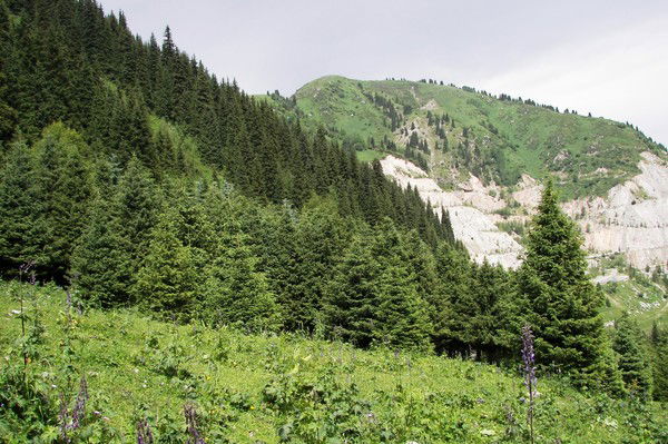 Хаджимурат Халамагамедов