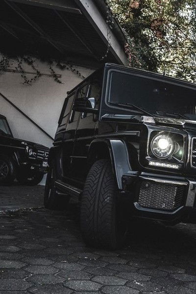 Алексей Максимов