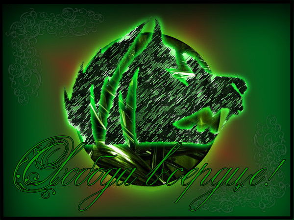 Сергей Платошин