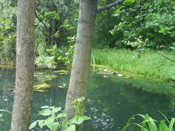 Анастасия Рыжкова