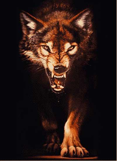 Евгений .....