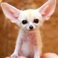 Леонид Вербецкий