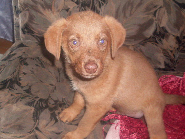 Дарья Тимофеева