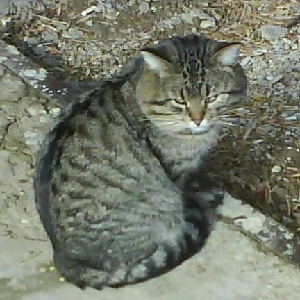 Олег Буглаев