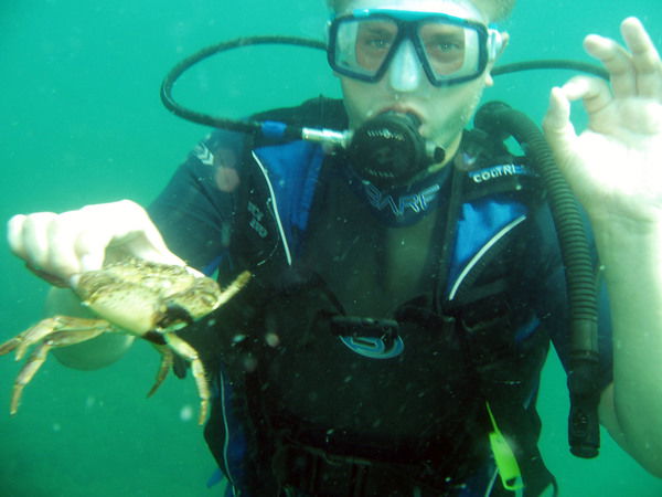 Алексей Котченко