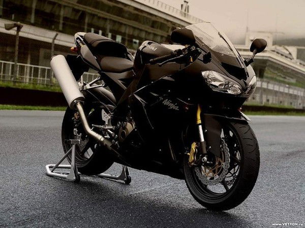 ((**леська**)) ***