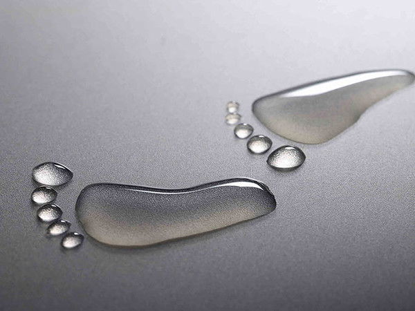 Лариса Колганова