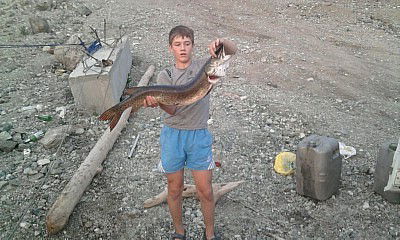 Лев Столбов