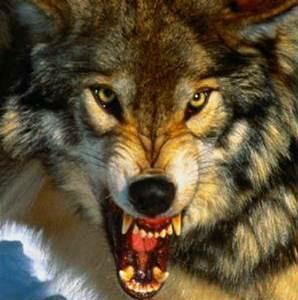 Омурбек Беккулиев