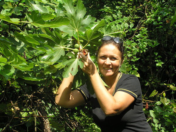 Елена Фириченко