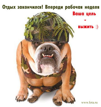 Петр Варчук