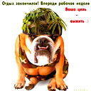 Петр Варчук