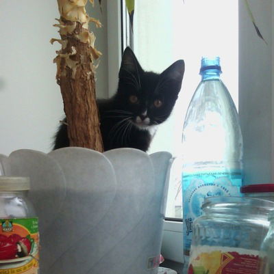 Аня Ефремова