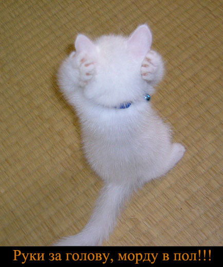 Мария Васильевна Я )