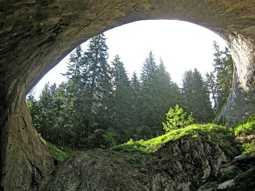 Анна Лебедева