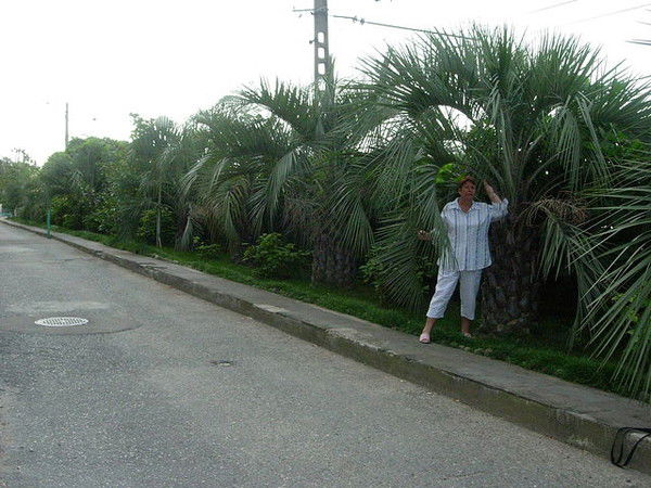 Лариса Засухина