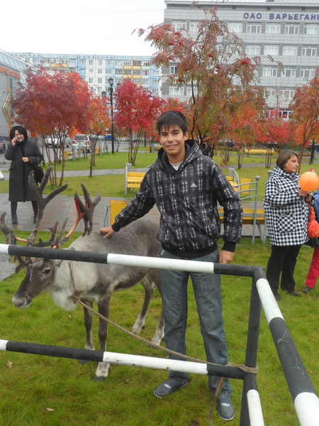 Эльдар Неджафов