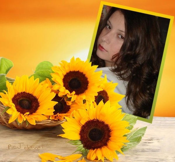 Юлия Широкова