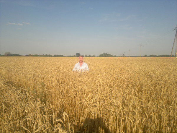 Михаил Щербаков