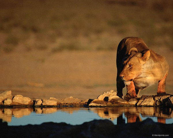 Юлия Тарасенко