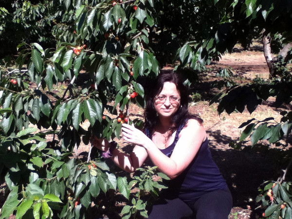 Беата Рогов