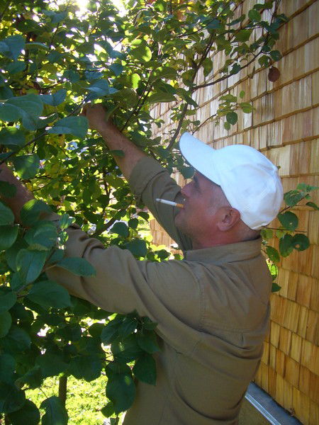 Геннадий Ильин