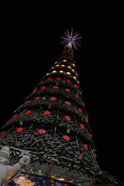 Светлана Балкова