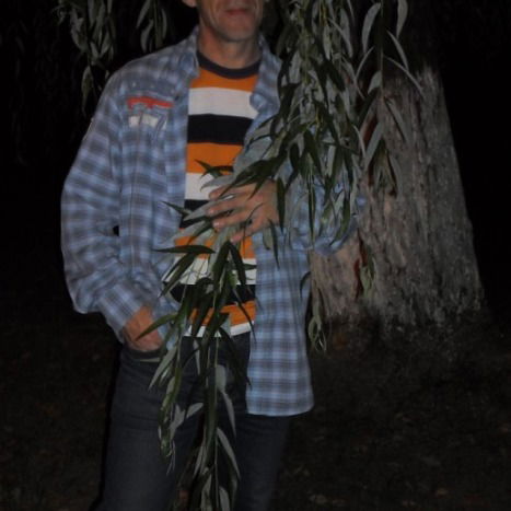 Игорь Макаров