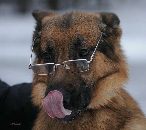 Надежда Вестимая