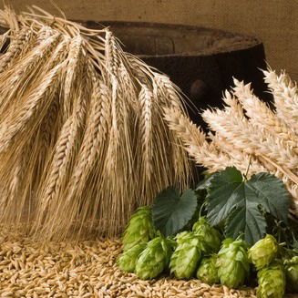 Александр Калаптуров