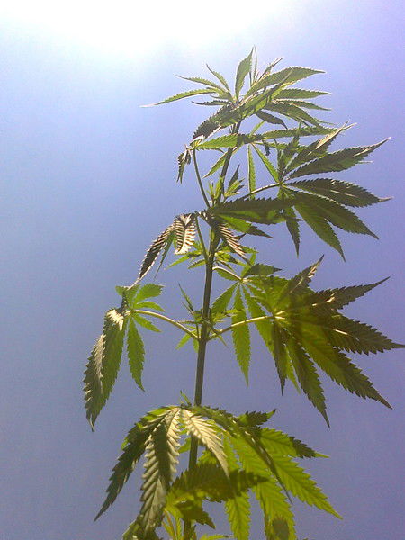 Евгений Вареников