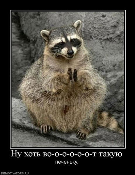 Александр Лаубган