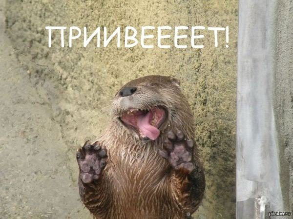 Евгений Сундеев