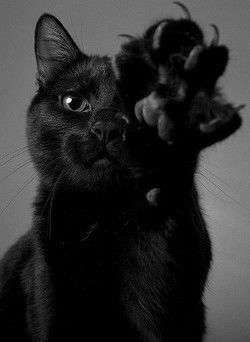 Александр Новиков