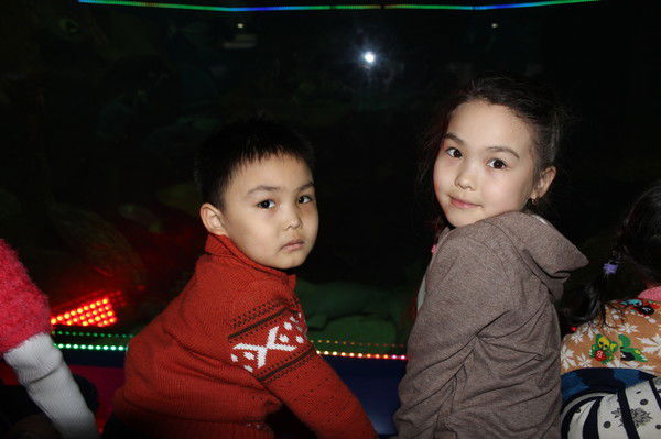 Нургуль Амренова