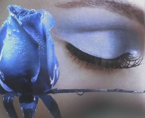 Елена Николаевна