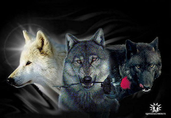 Дамир Кырыкбаев