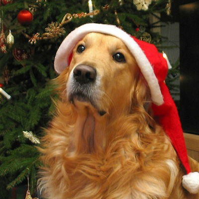 Дарья Иванова