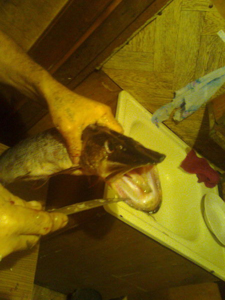 Сергей Осин