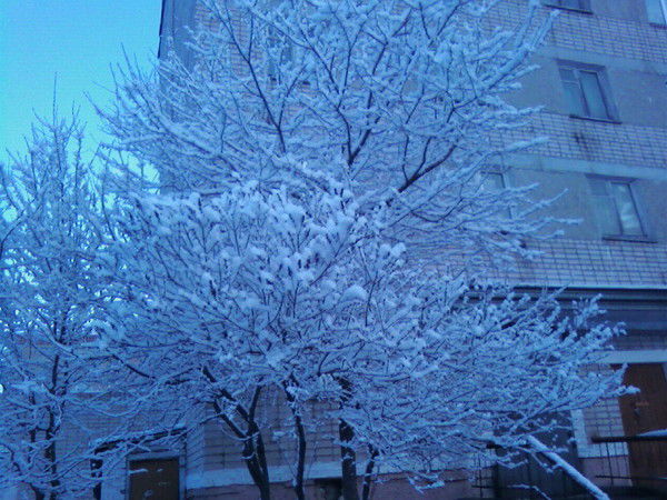 Легостаева Лилия