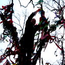 Евгений Терехов