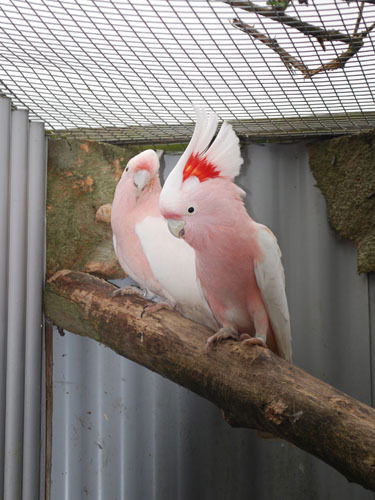 Евгений Шульженко