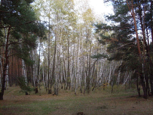 Лера Лерина