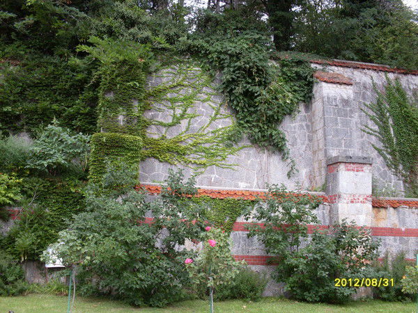 Ольга Чумакова