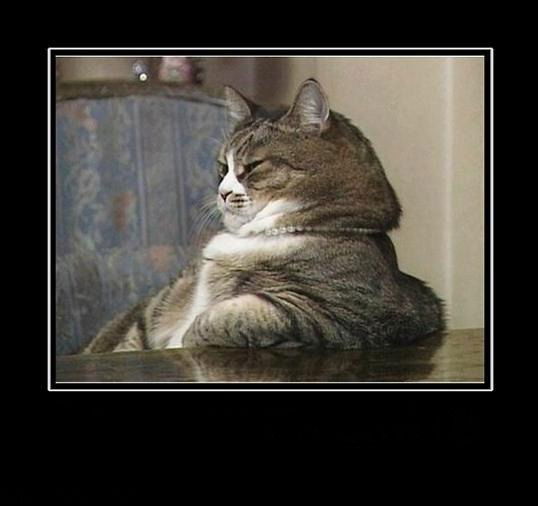 Александр Есипчук