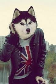 Максим Седельников