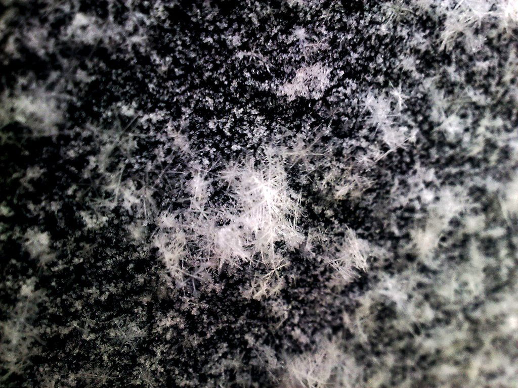 какого числа ишачья пасха. Смотреть фото какого числа ишачья пасха. Смотреть картинку какого числа ишачья пасха. Картинка про какого числа ишачья пасха. Фото какого числа ишачья пасха