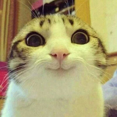 Денис Морозов