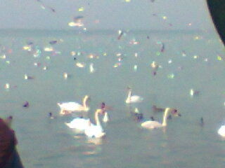 Шолпан Нургалиева